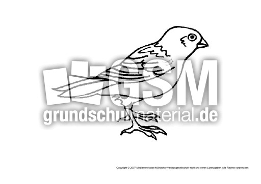 Spatz.pdf